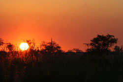 Botswana Sunset