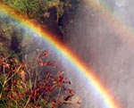 A rainbow at the Victoria Falls