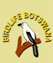 Birdlife Botswana