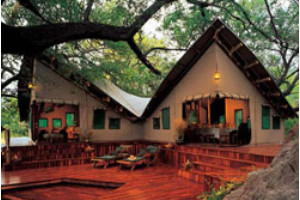 Abu Camp Main Lodge Area