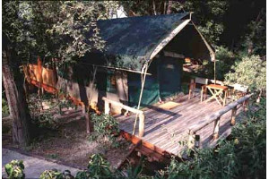 Safari Tent Exterior