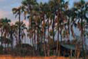 Jacks camp main04
