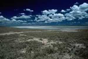 View from Jack's Camp in the Kalahari Desert