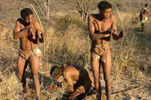 Bushman With Bow And Arrow