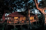 Chalet Exterior