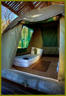 Oddballs Camp tent