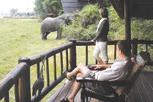 Savute elephant camp main01