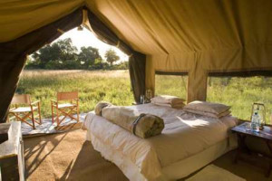 Safari Tent Interior