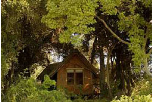 Chalet Exterior