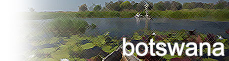 Island Safari Rotating Images