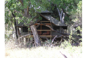 Safari Tent