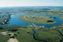 Okavango crossing