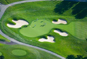 Golf safari main02