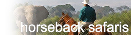 Horseback