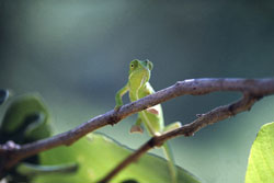 Image 003 copy