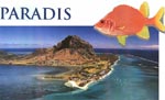 Paradis hotel main 01