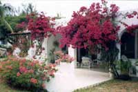 Villa bougainvilliees main